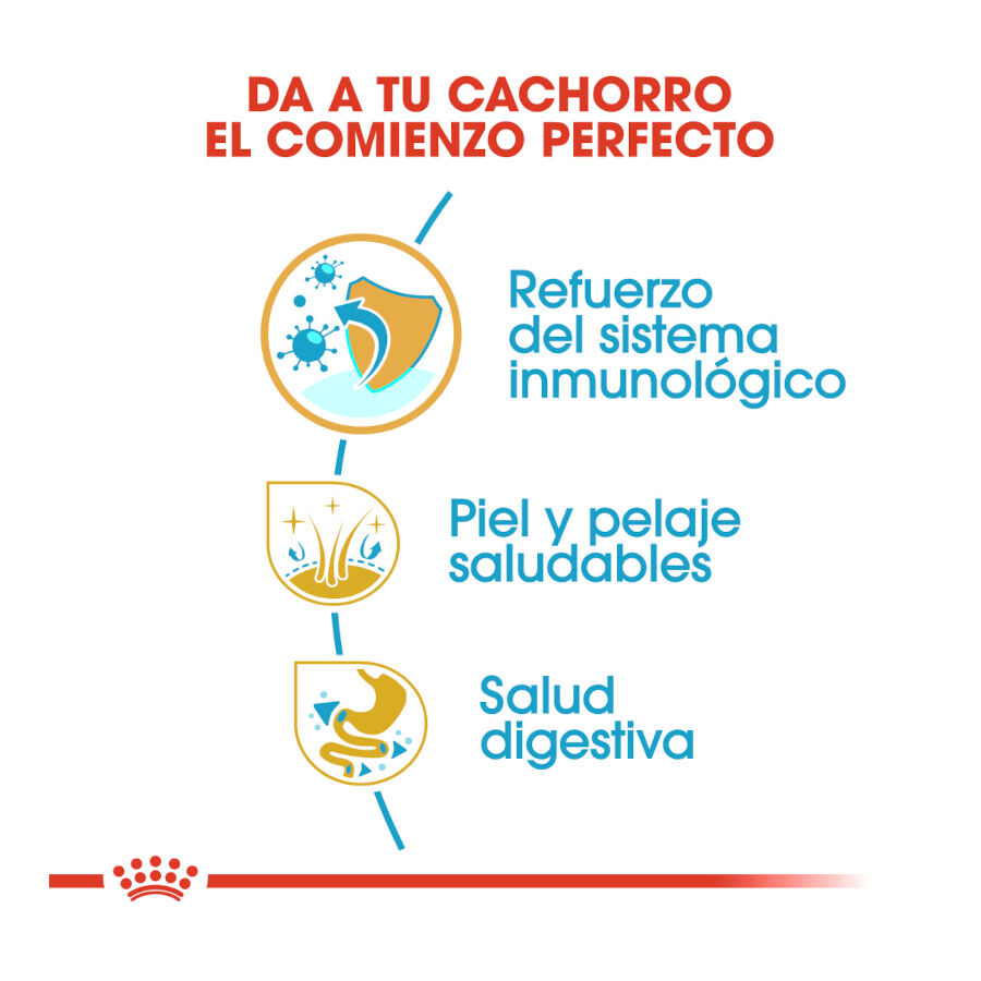 3 kg Royal Canin Puppy Cocker pienso para perros, , large Imagen numero 6